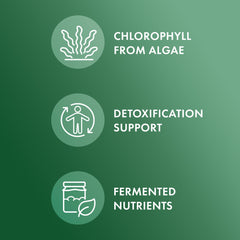Dr. Mercola detalle de textura de tableta para mejor absorción