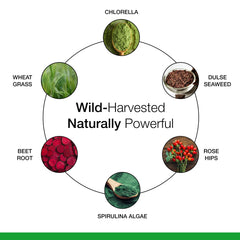 Ingredientes silvestres y greens usados en Dr. Schulze's SuperFood Plus, origen natural y potencia vegetal