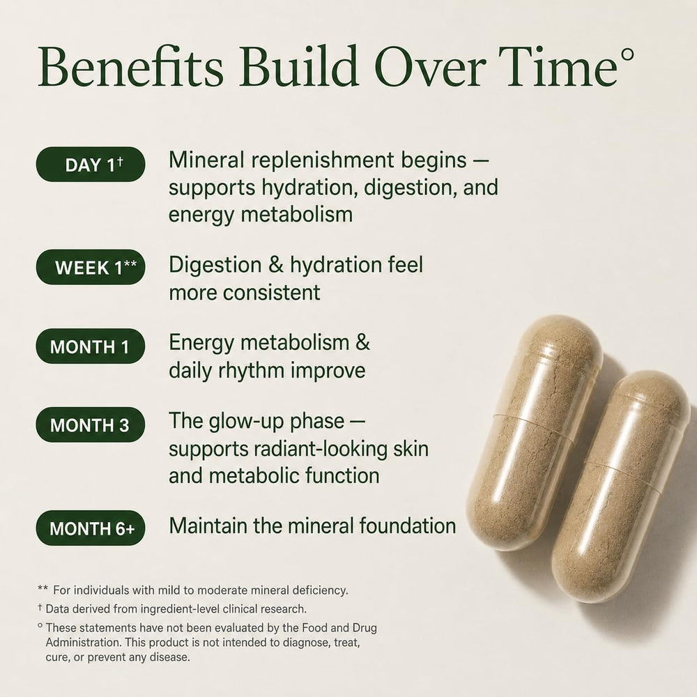 Caja y frasco Dr. Sebi's junto a regla para comparar tamaño y cantidad