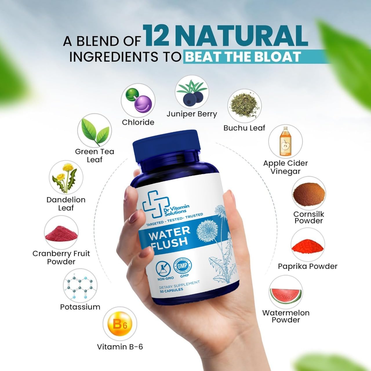 DR VITAMIN SOLUTIONS cápsulas en primer plano, textura y tamaño claros