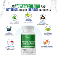 DR VITAMIN SOLUTIONS ingredientes naturales como té verde y acai, soporte antioxidante