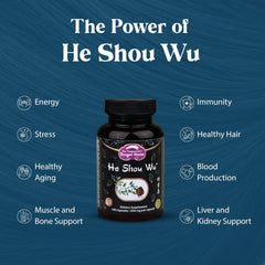 Dragon Herbs He Shou Wu cápsula abierta, textura fina y calidad