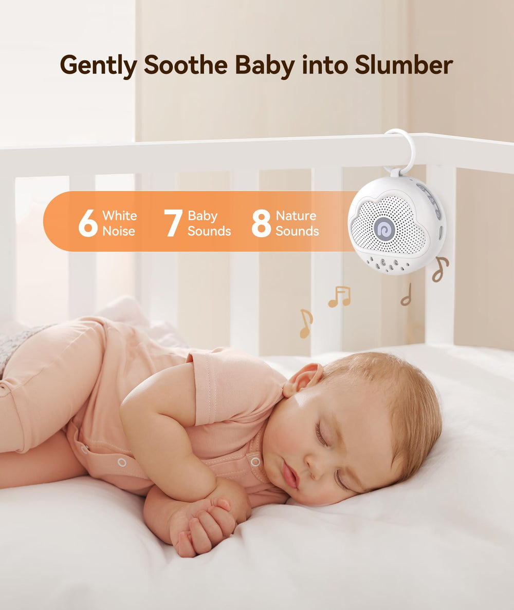 Dreamegg D11Max diseño ergonómico y seguro