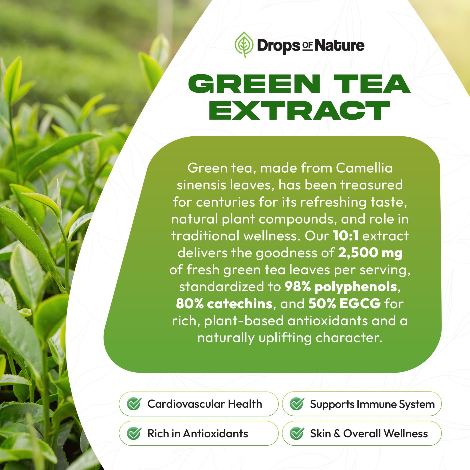 Etiqueta de Drops of Nature con lista de ingredientes y porcentajes de EGCG visibles