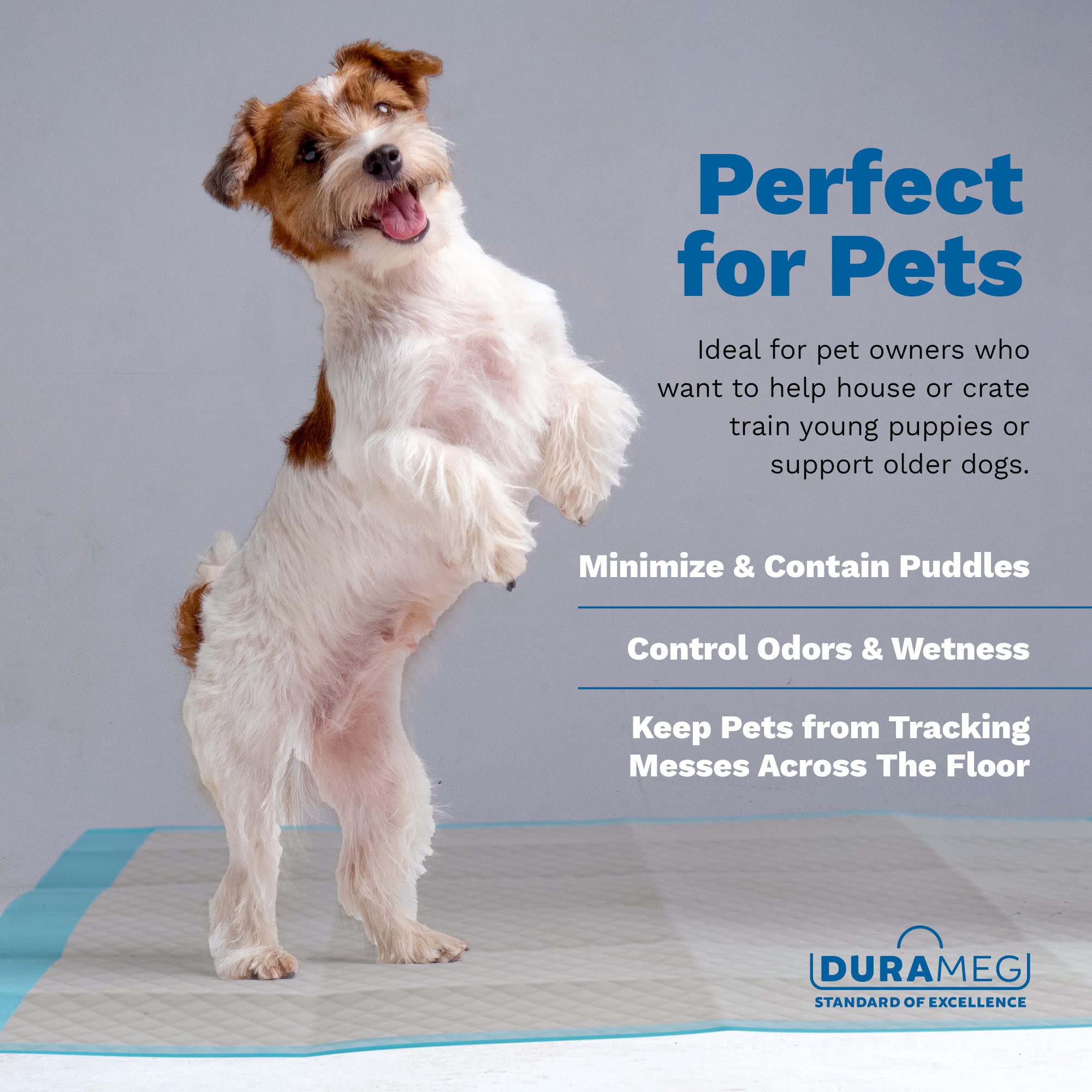 Durameg almohadilla en kennel para entrenamiento y limpieza fácil