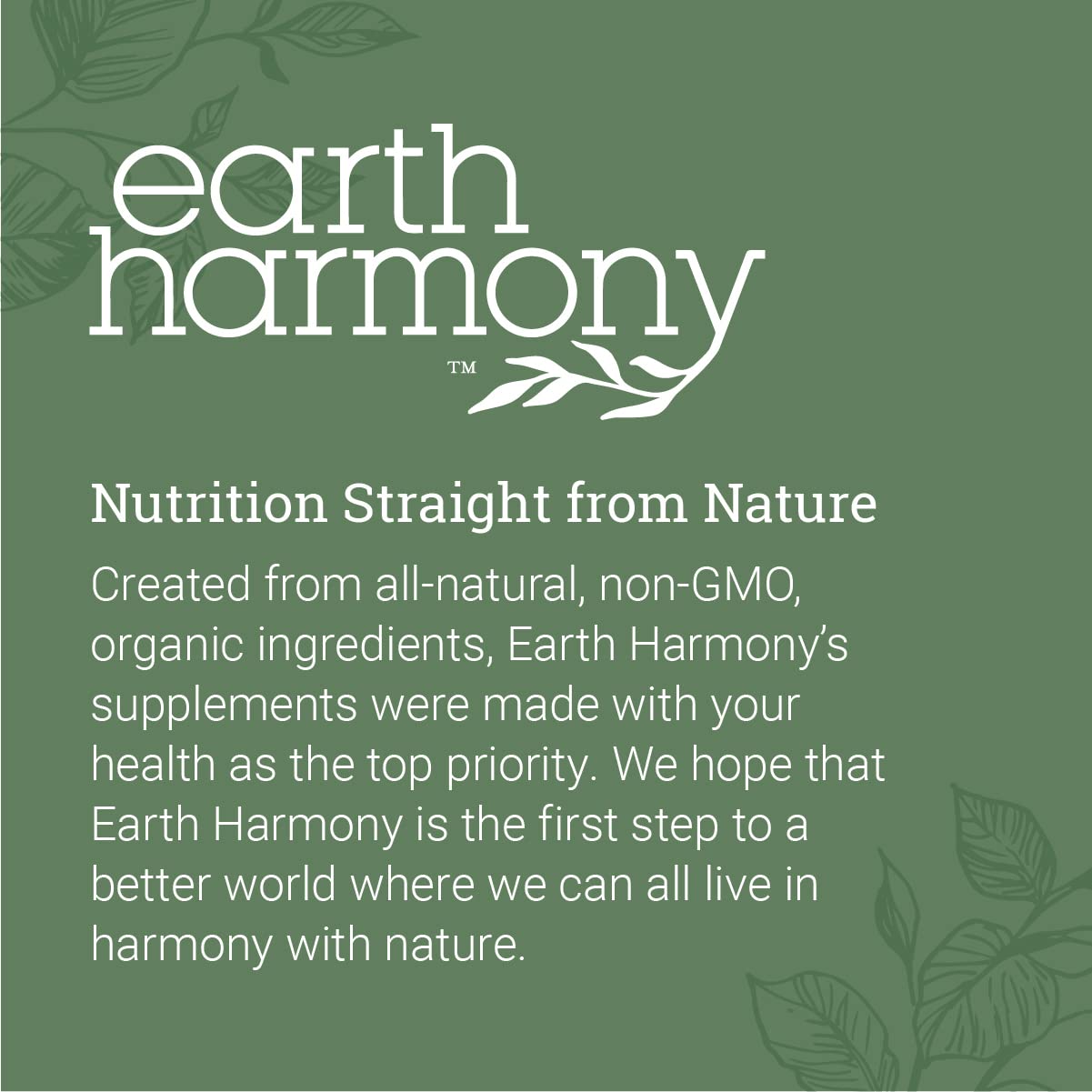 Earth Harmony ambiente de cocina mostrando uso diario y conveniencia en la rutina