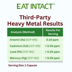 EAT INTACT cápsula junto a moneda para comparar tamaño y comodidad