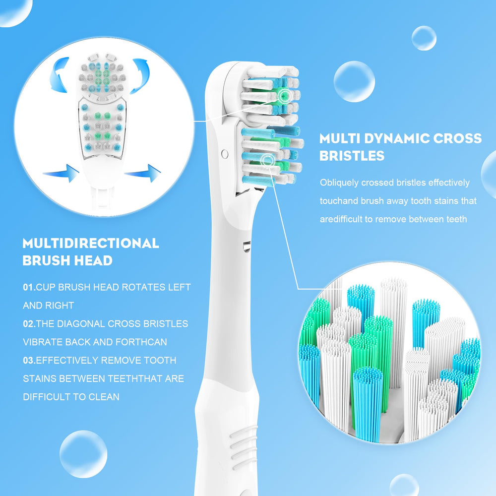 EBIEFLY comparación de tamaño con diente muestra cobertura completa y precisión