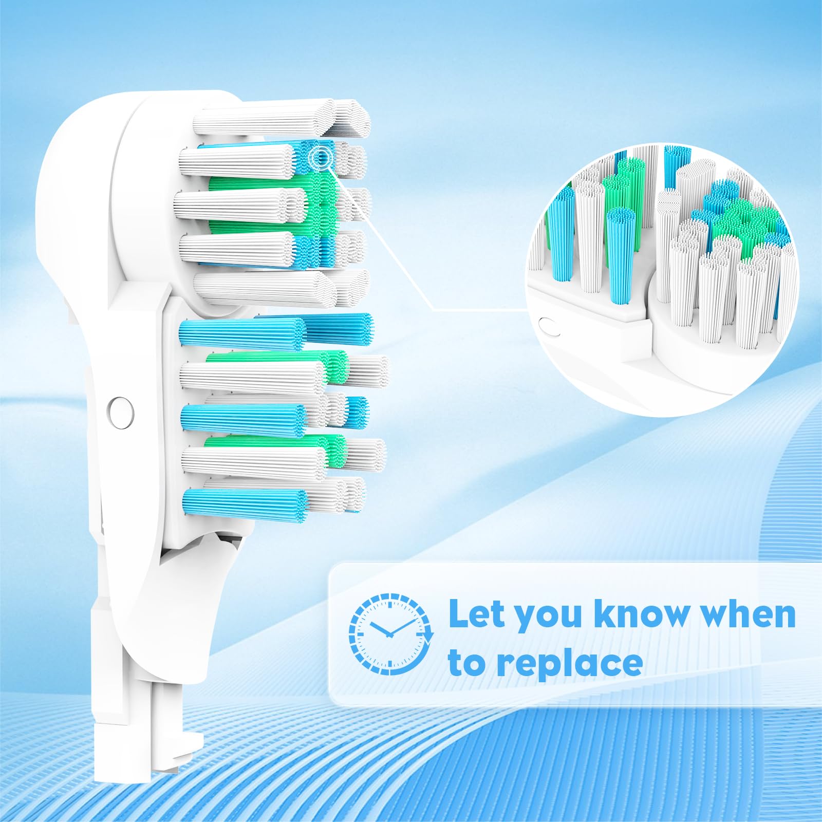EBIEFLY vista lateral cup-shaped que abraza la superficie dental