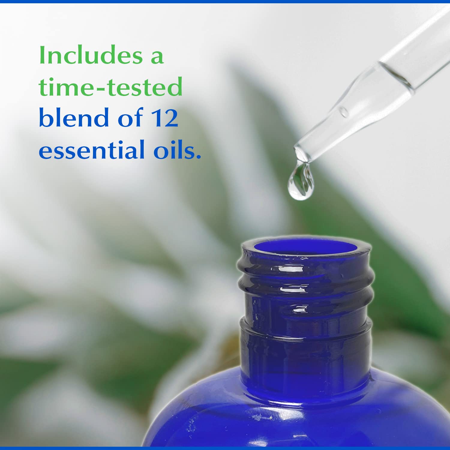 Eco-Dent ingredientes naturales: aceites esenciales y extractos botánicos beneficiosos