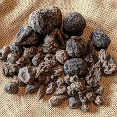 EcoVista raíz High John en bolsa ritual, facilita llevar buena fortuna y protección