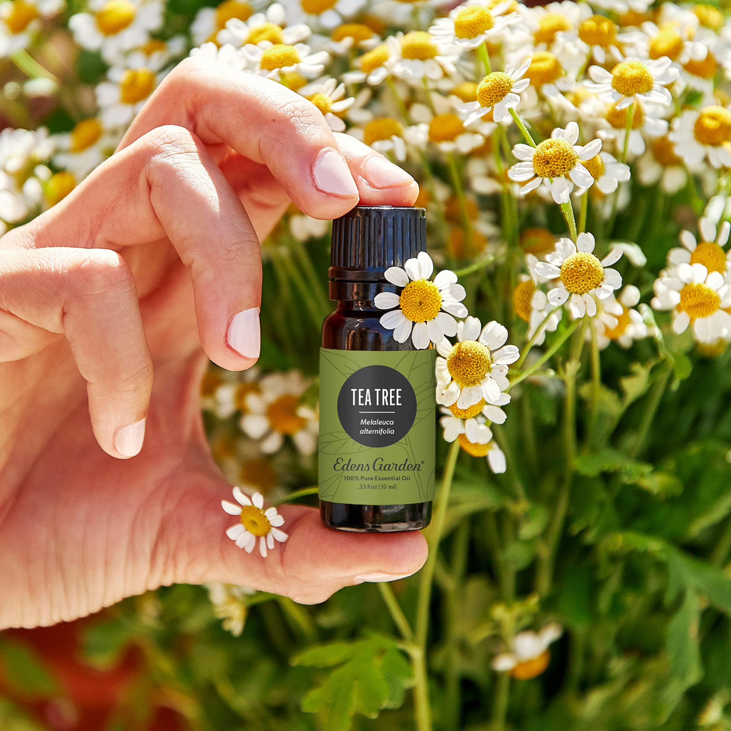 Edens Garden gotero del aceite árbol de té que facilita dosificación segura
