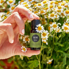 Edens Garden gotero del aceite árbol de té que facilita dosificación segura