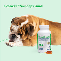 Eicosa3FF mascota disfrutando alimento con SnipCaps apoyo a piel y pelaje