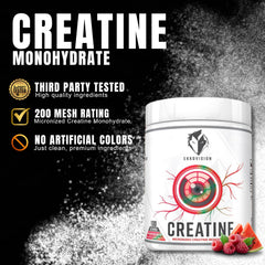 Polvo micronizado de Ekkovision Creatine con textura fina que facilita la disolución