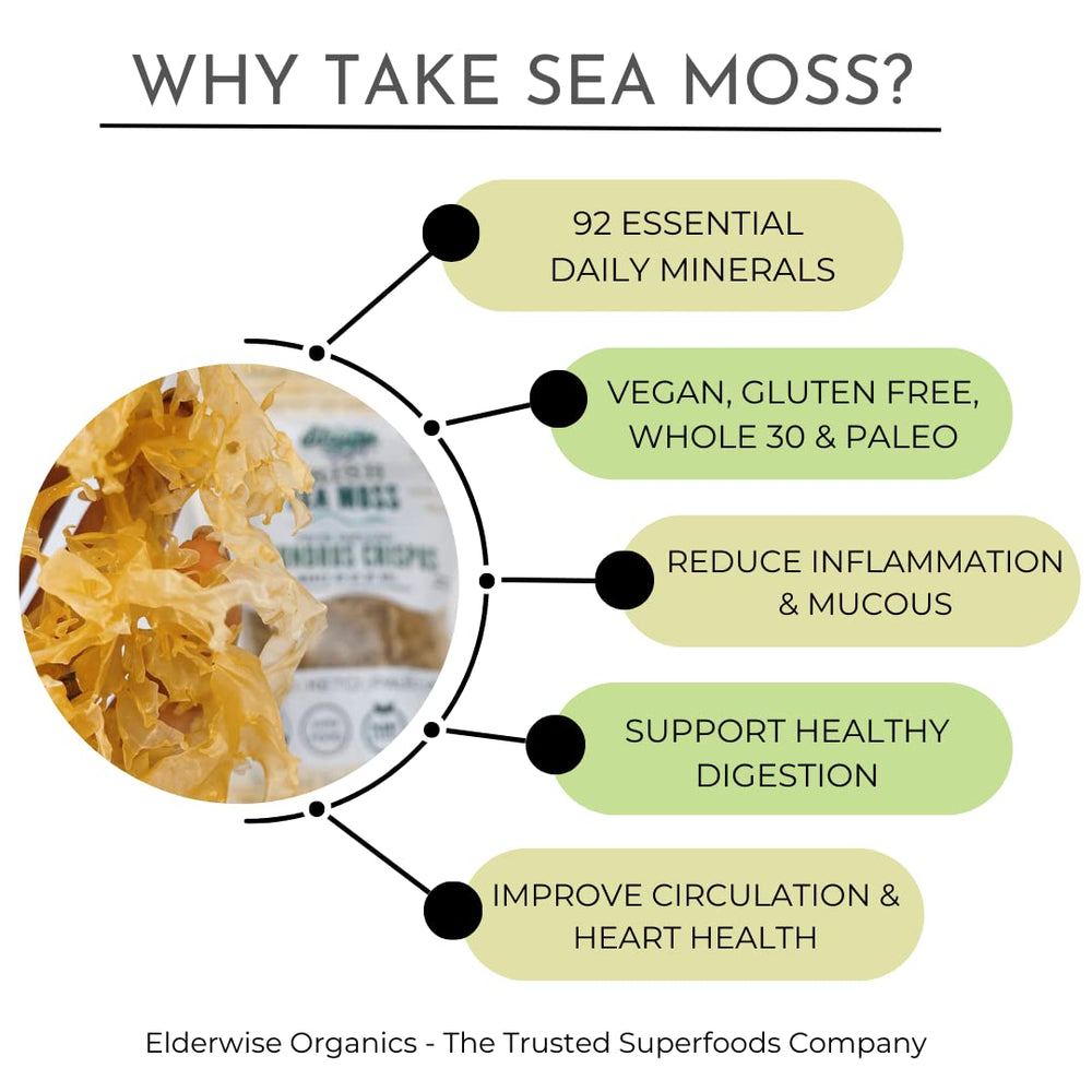 Elderwise Organics hojas de sea moss en bol durante el enjuague, facilita preparación limpia