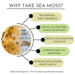 Elderwise Organics hojas de sea moss en bol durante el enjuague, facilita preparación limpia