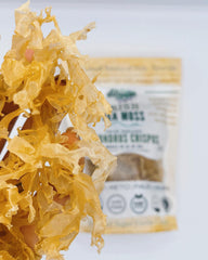 Elderwise Organics gel casero en tarro indicando que rinde hasta 30 oz de producto listo