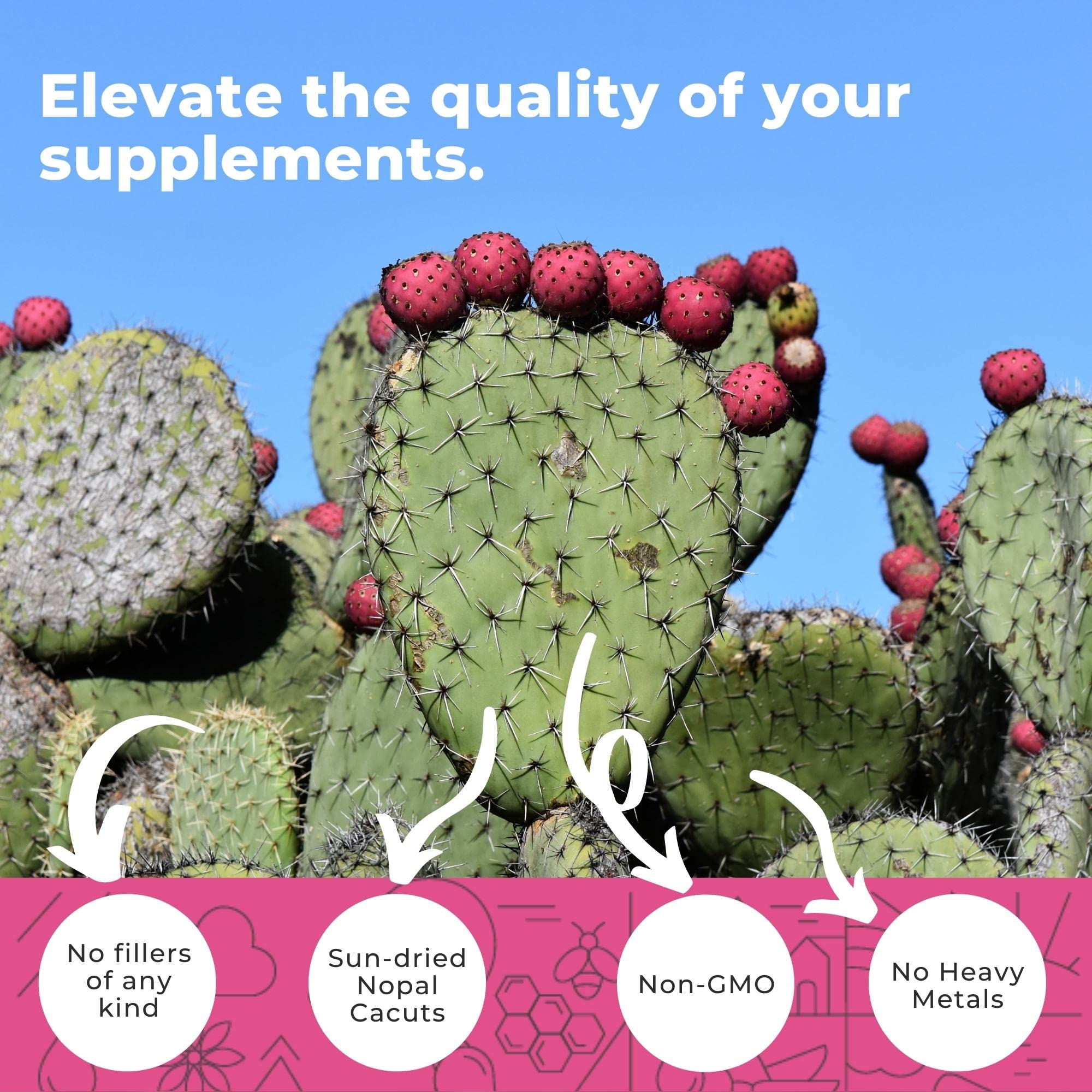 Eleva Nutrition etiqueta con información nutricional visible para confianza y transparencia