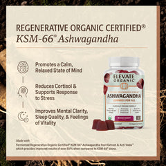 Textura de una gomita ELEVATE ORGANIC cerca mostrando consistencia y sabor