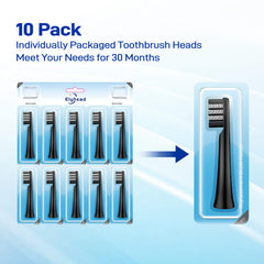 Elyhead empaque individual higiénico listo para almacenamiento seguro