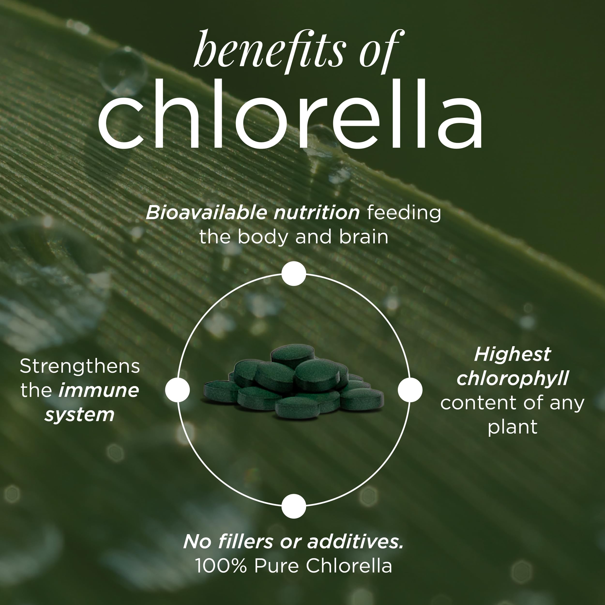 ENERGYBITS detalle de la algas espirulina y chlorella como ingrediente