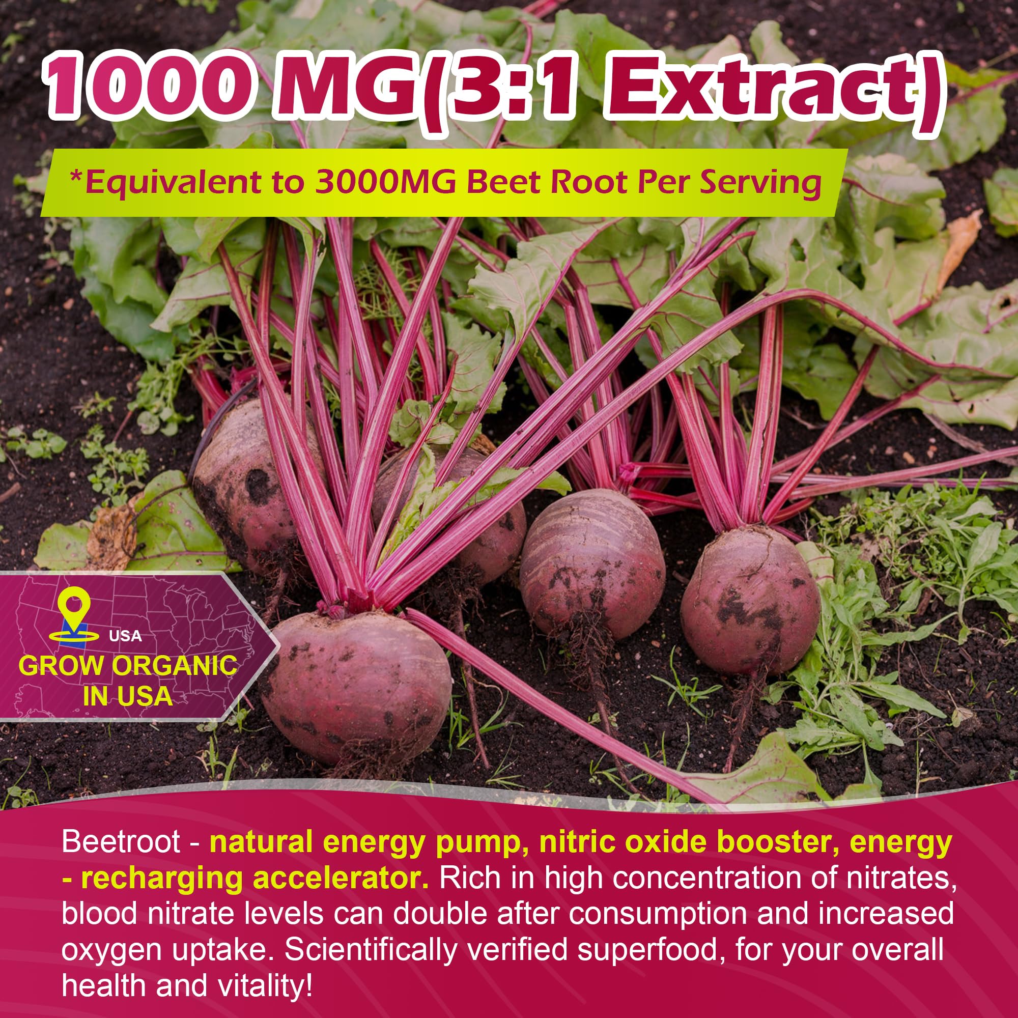 EnvyCure raíz de remolacha y extracto concentrado mostrando origen vegetal