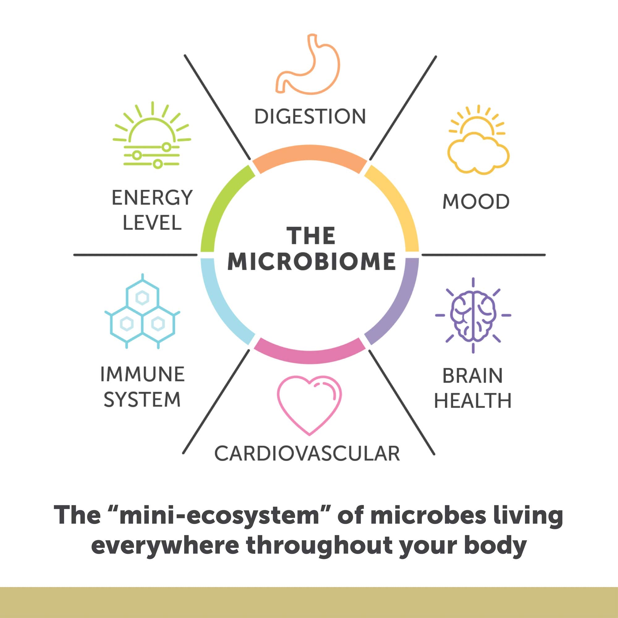 Enzymedica Aqua Biome etiqueta con información, claridad sobre EPA DHA DPA