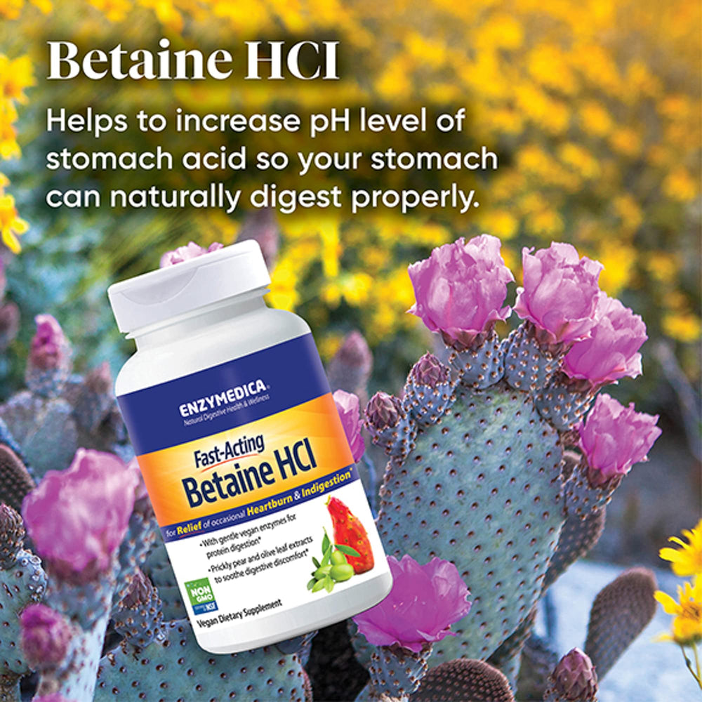 Enzymedica detalle de ingredientes como nopal y hoja de olivo que protegen mucosa