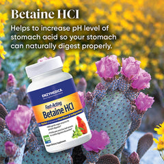 Enzymedica detalle de ingredientes como nopal y hoja de olivo que protegen mucosa