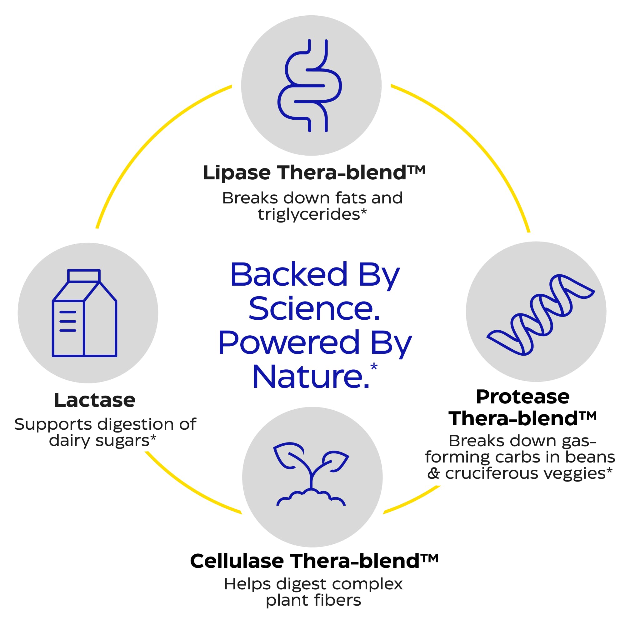 Enzymedica cápsula en mano ilustrando dosis recomendada y facilidad de uso