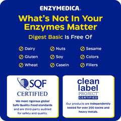 Escena de estilo de vida con desayuno y Enzymedica Digest Basic para mañanas cómodas