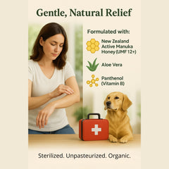 Eras Natural Sciences producto cubierto con apósito no adherente para protección