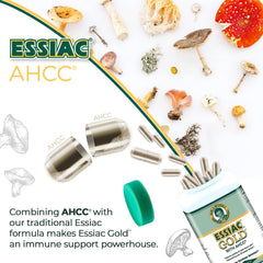 Detalle del cultivo AHCC usado en Essiac Gold demostrando calidad estandarizada