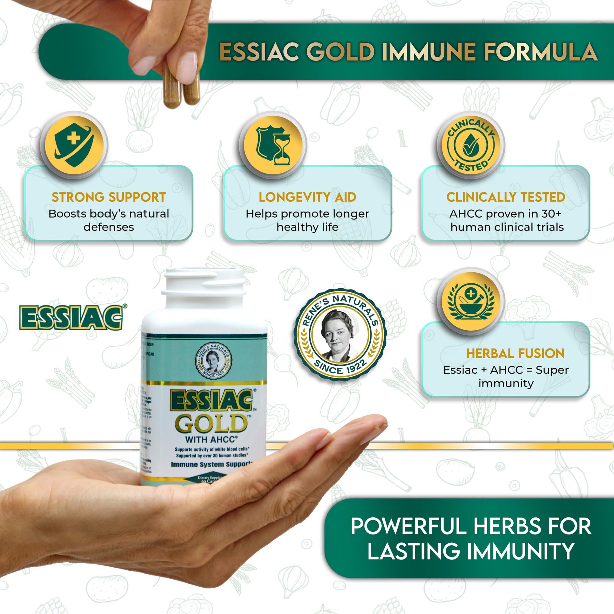 Polvo de extracto de Essiac Gold en cuchara destacando pureza y textura