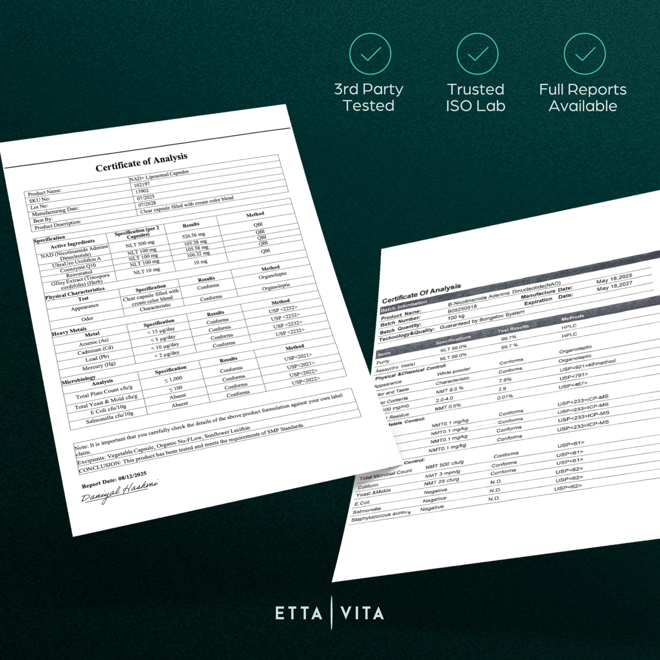 Etta Vita cápsula en mano para comparar tamaño y dosificación