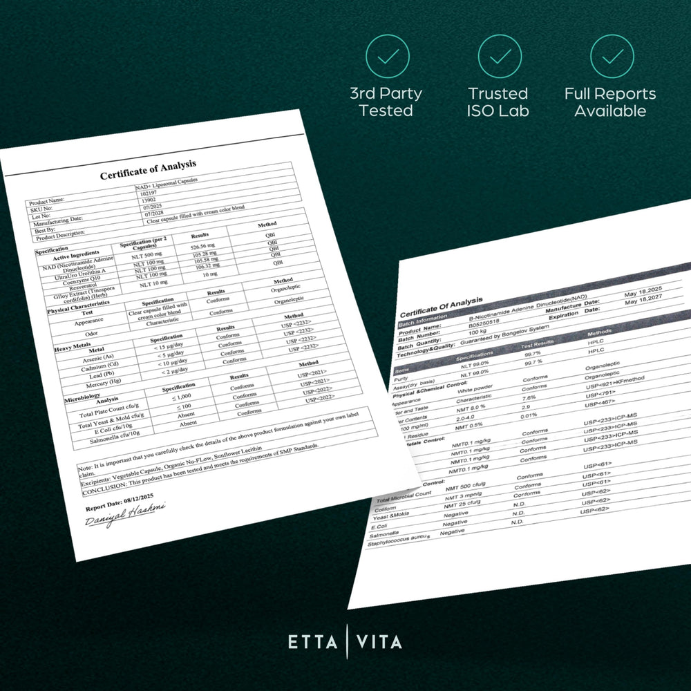 Etta Vita cápsula en mano para comparar tamaño y dosificación