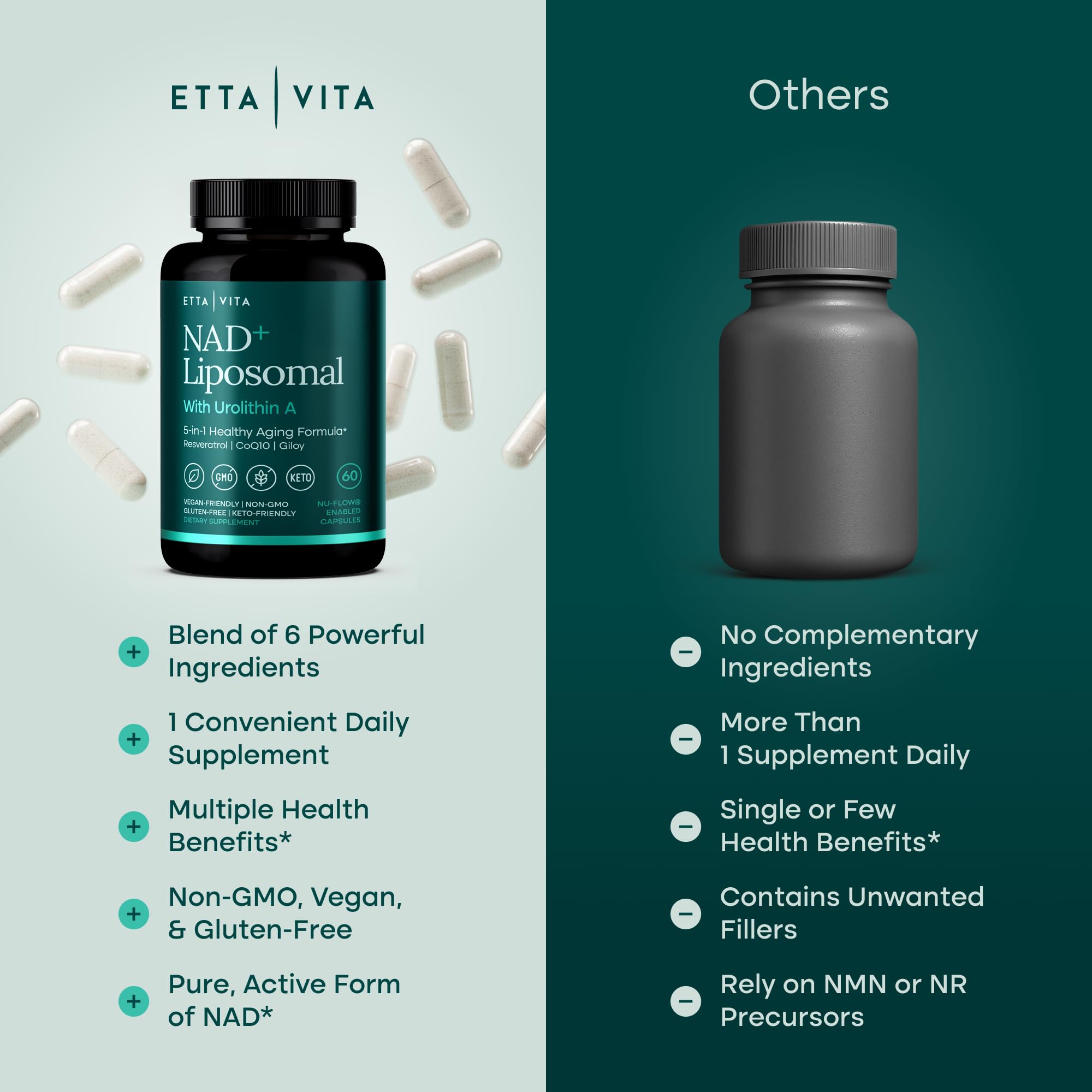 Etta Vita ingredientes principales visibles y sus propiedades