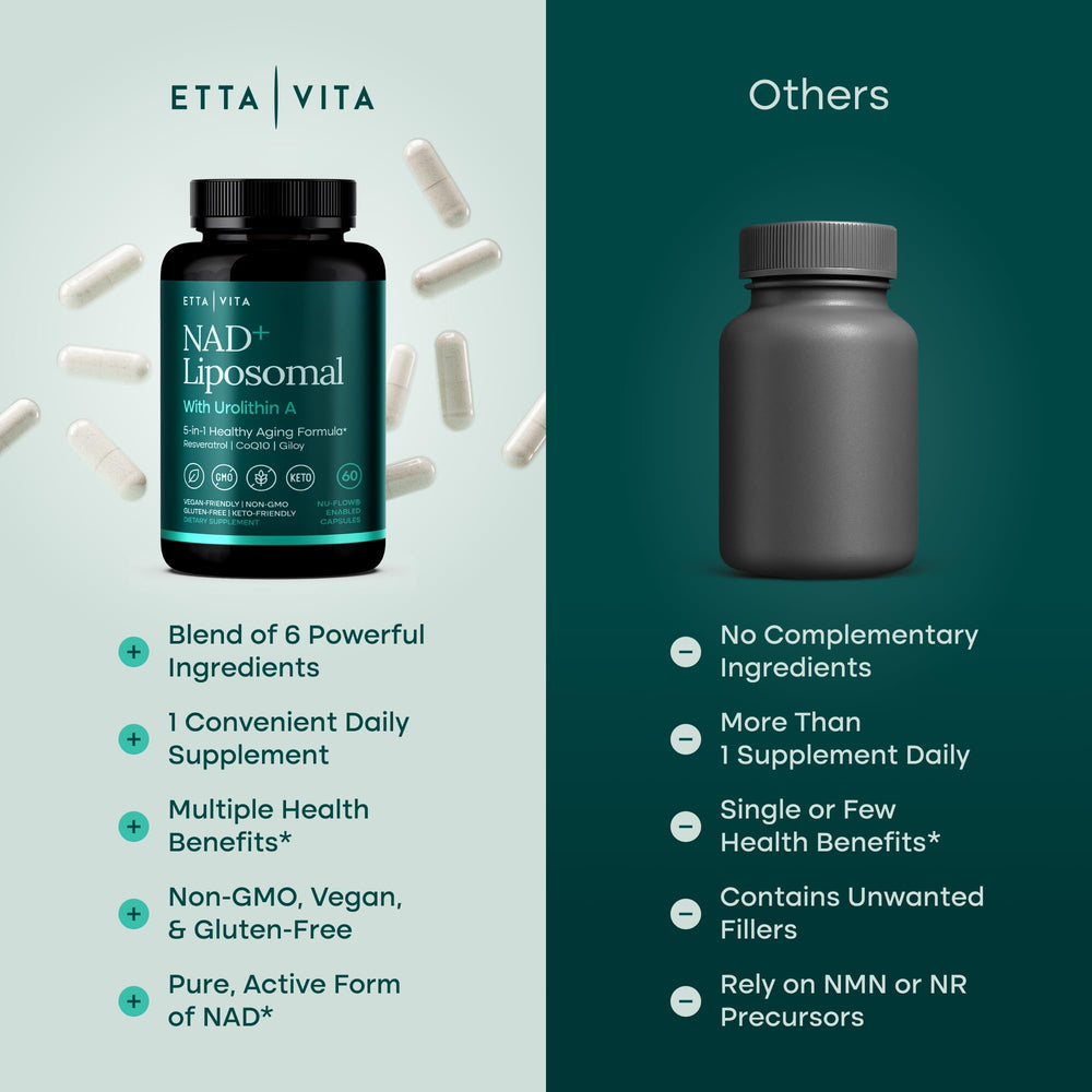 Etta Vita ingredientes principales visibles y sus propiedades