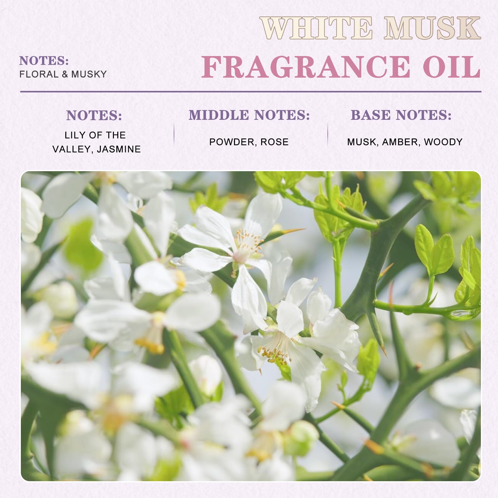 EUQEE textura del aceite White Musk una gota, fragancia duradera