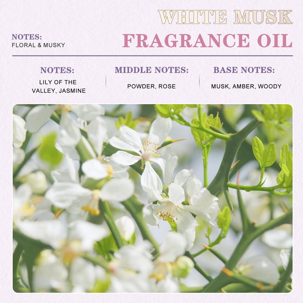 EUQEE textura del aceite White Musk una gota, fragancia duradera