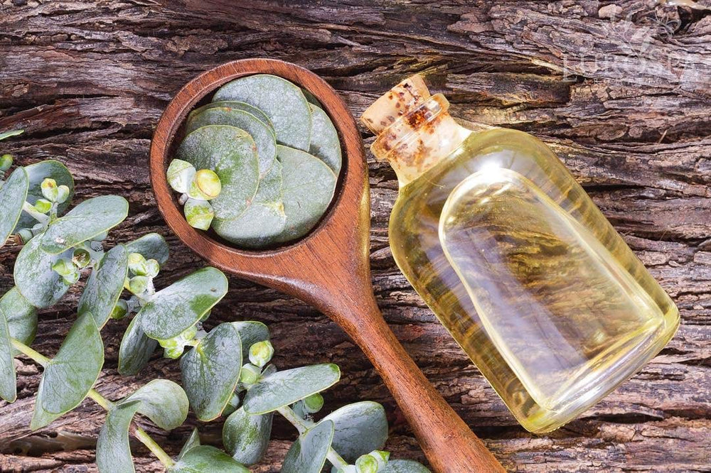 EuroSpa Aromatics en uso dentro de ducha creando ambiente de spa en casa