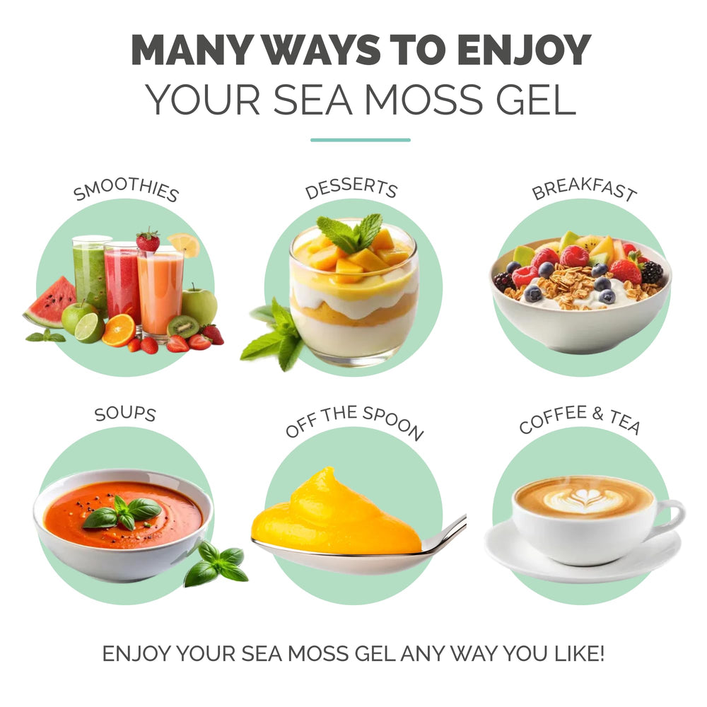 Tazón de sopa espesa con EverSmith Organics sea moss gel usado como espesante natural