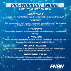 Cuchara con porción de EVL ENGN creatina preworkout, dosificación práctica y clara
