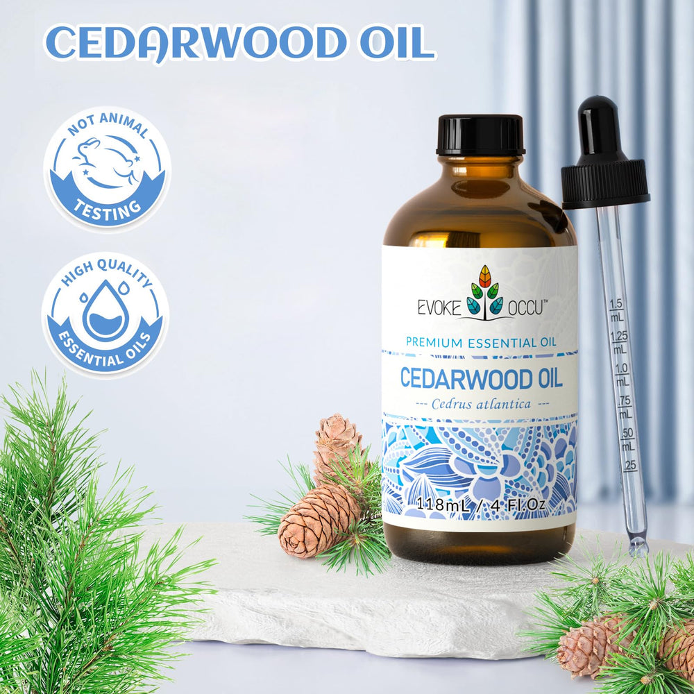 EVOKE OCCU en salón mostrando atmósfera acogedora y desodorización natural