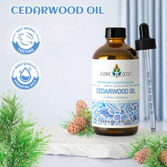 EVOKE OCCU en salón mostrando atmósfera acogedora y desodorización natural