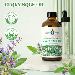 EVOKE OCCU aceite en difusor creando ambiente relajante y aroma herbal