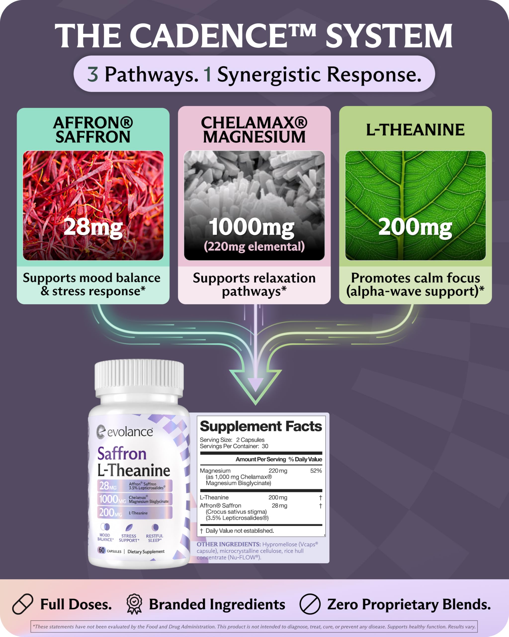 Evolance ingredientes: azafrán Affron, magnesio y L‑theanine juntos para sinergia
