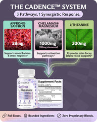 Evolance ingredientes: azafrán Affron, magnesio y L‑theanine juntos para sinergia