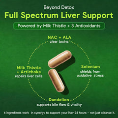 Facime artichoke extract capsule visual highlighting traditional botanicals.